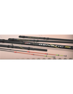 Cana Tubertini Genetic Pro 3.20m